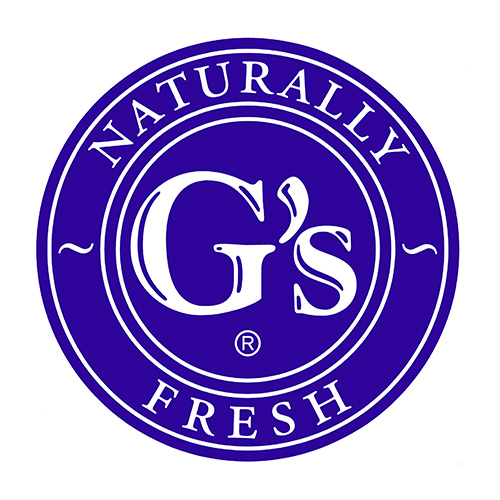logo gs